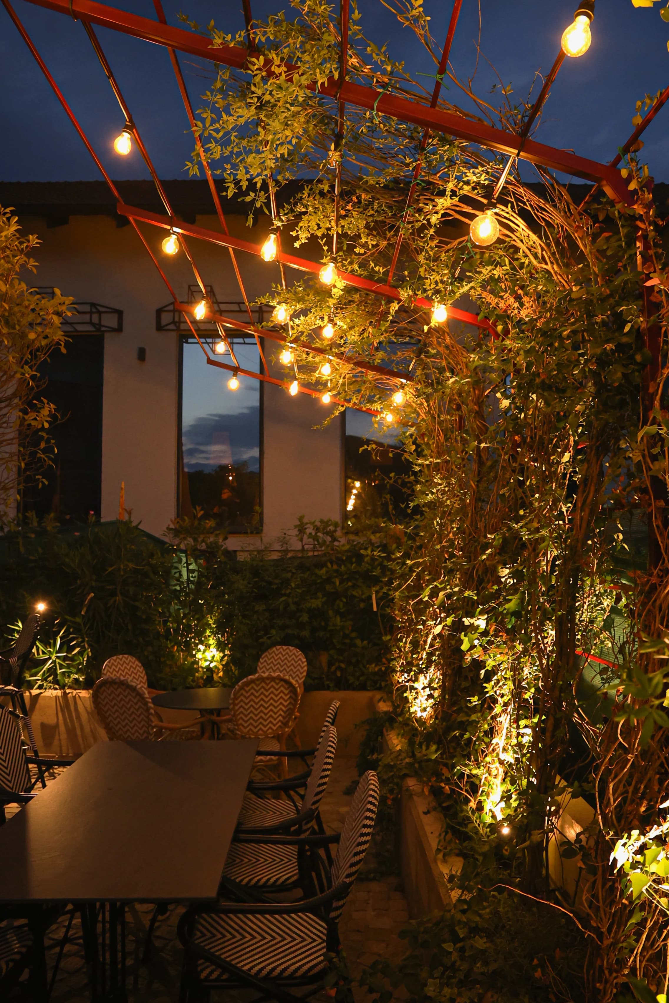 Patio under string lights