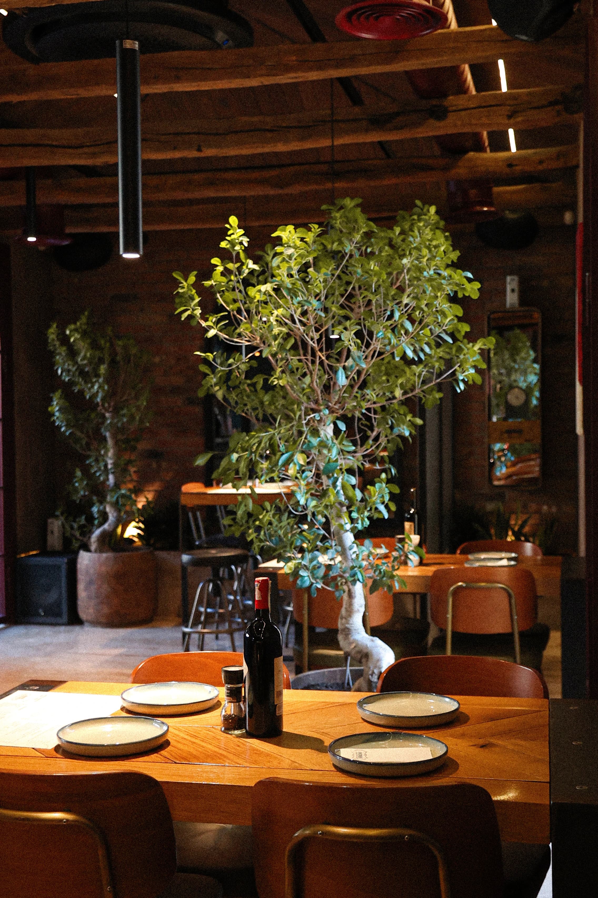 Interior dining room